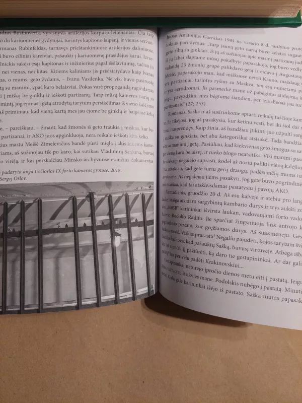 Pabėgimas - Aleksas Faitelsonas, knyga 4