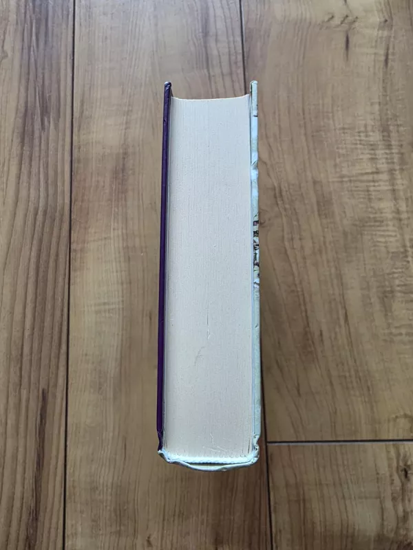 Džeinė Eir - Šarlotė Brontė, knyga 3