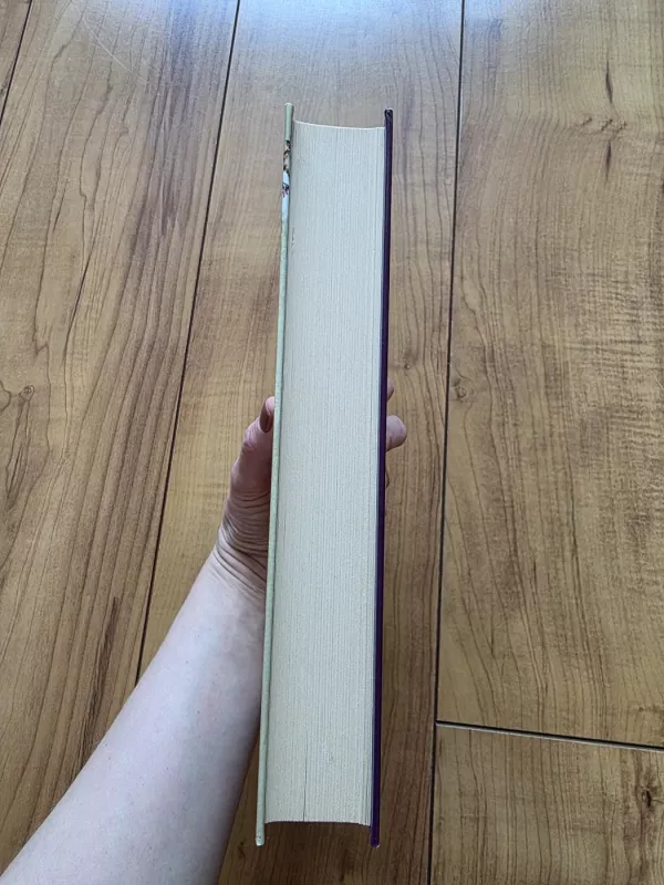 Džeinė Eir - Šarlotė Brontė, knyga 5