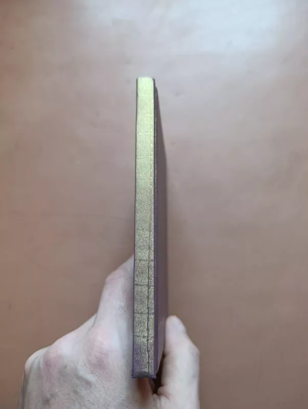 Dievas mėgsta juoktis - Šri Šri Ravi Šankaras, knyga 3