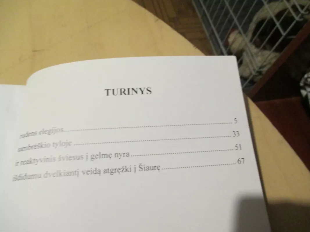 Sambrėškio tyloje - Silvija Juodzevičiūtė, knyga 5