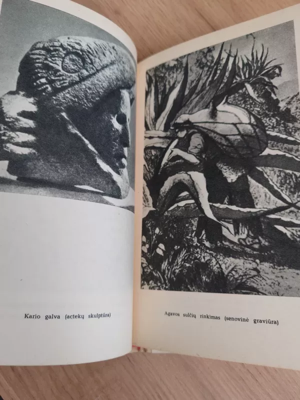 Konkistadorai - Arturas Lielajis, knyga 4