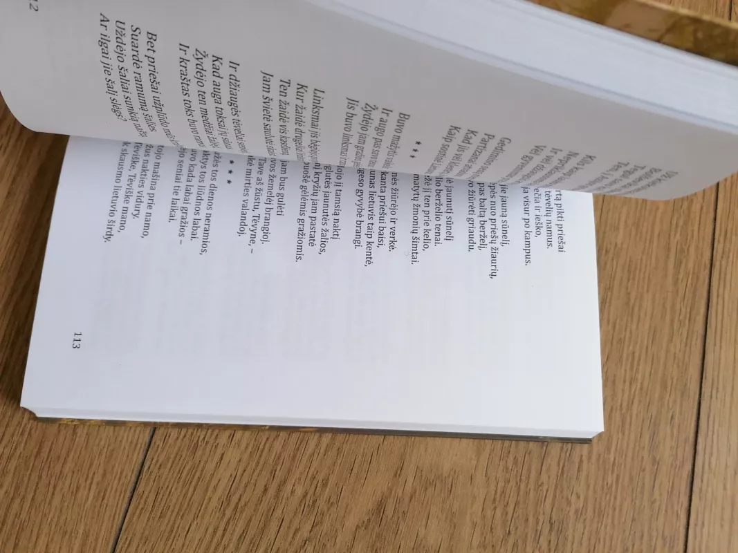 Aukštaitijos partizanų eilės ir dainos - Vaclovas Slivinskas, knyga 6