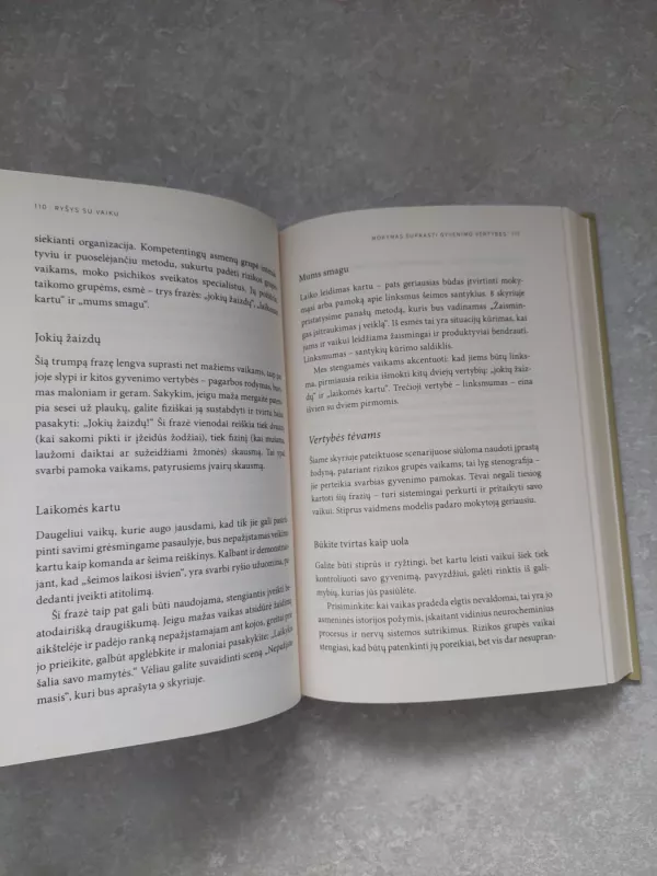 Ryšys su vaiku - Karyn Purvis, knyga 4