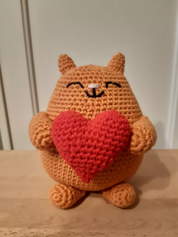 Storas ryžas meilės katinas - , namai ir interjeras 2