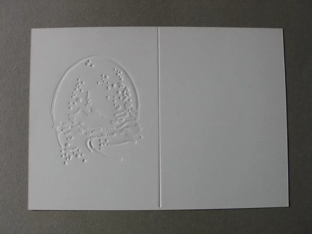 Atvirukas - Dail. D.Skridailaitė, knyga 5