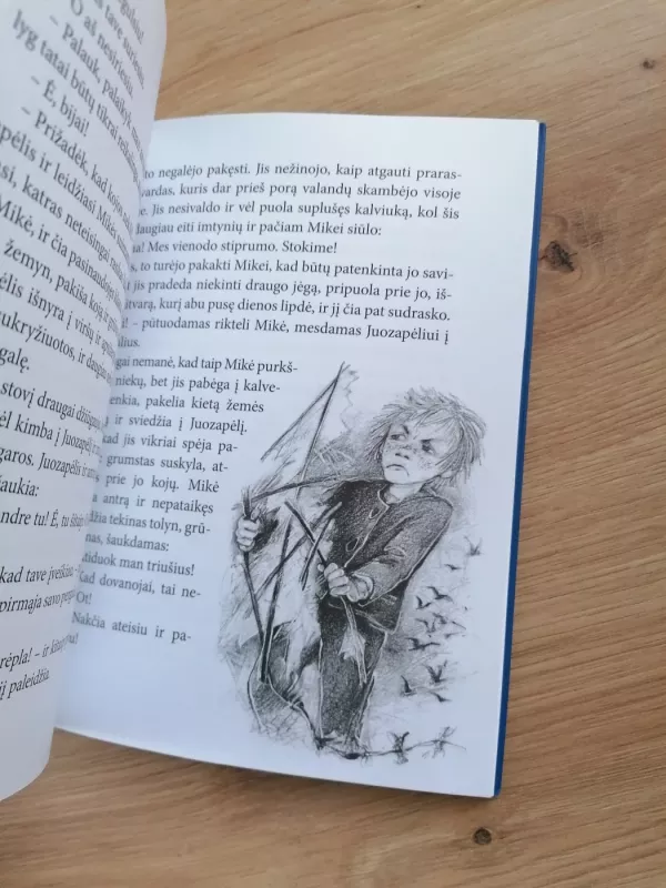 Vaikų karas - Petras Cvirka, knyga 4