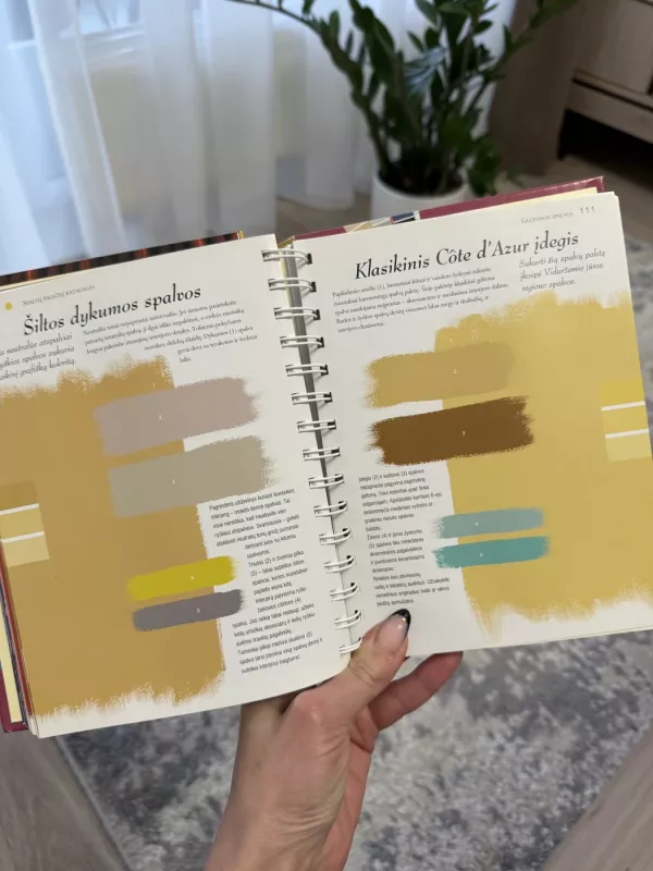 Spalvų taikymas interjere - Anna Starmer, knyga 4