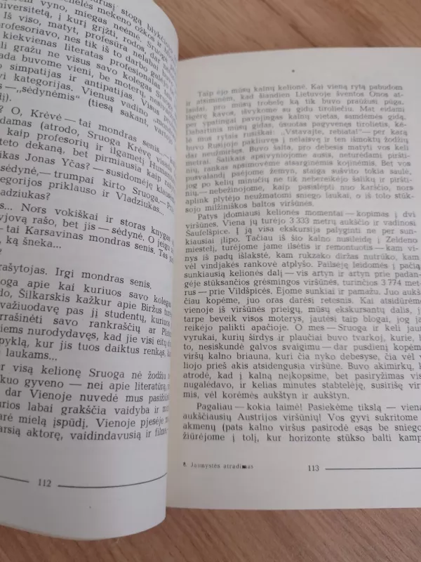 Jaunystės atradimas - Antanas Venclova, knyga 5