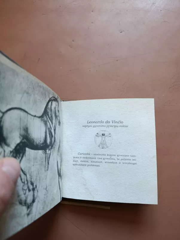 Septyni gyvenimo principai - Leonardas Da Vinčis, knyga 4