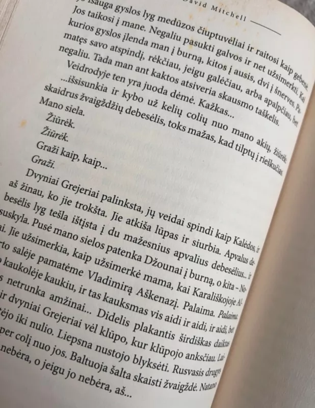 Sleido namas - David Mitchell, knyga 4