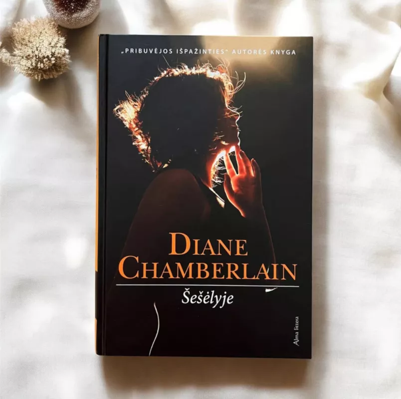 Šešėlyje - Diane Chamberlain, knyga 2