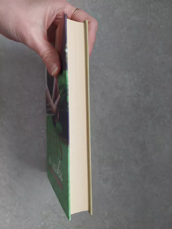 Ryšys su vaiku - Karyn Purvis, knyga 5