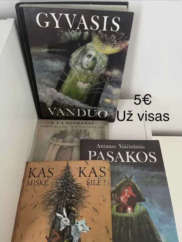 Gyvasis vanduo - Bronislava Kerbelytė, knyga 2