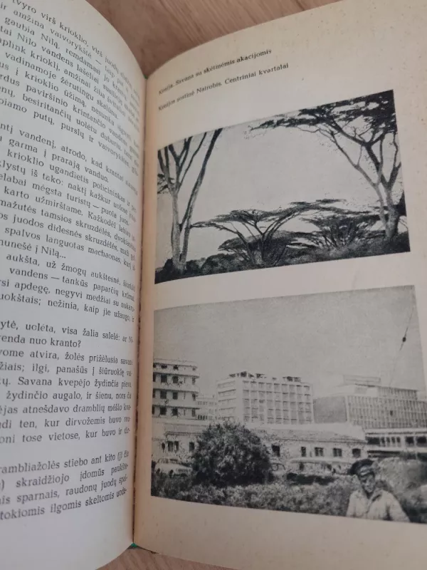 Mėnulio kalnai - Igoris Zabelinas, knyga 5