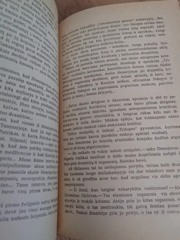 Mėnulio kalnai - Igoris Zabelinas, knyga 4