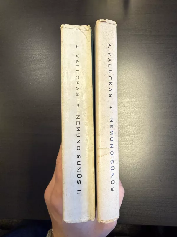 Nemuno sūnas - Andrius Valuckas, knyga 4