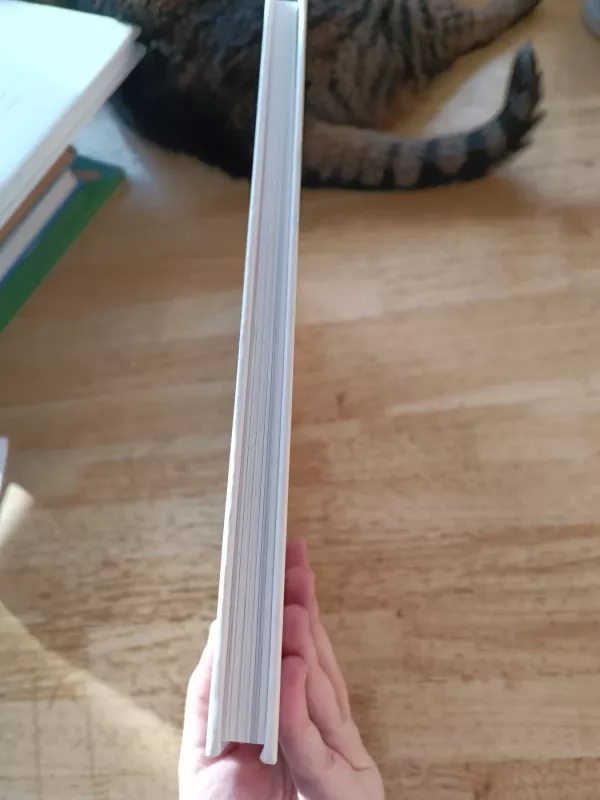 Mažieji Lietuvos istorijos paminklai - Autorių Kolektyvas, knyga 5