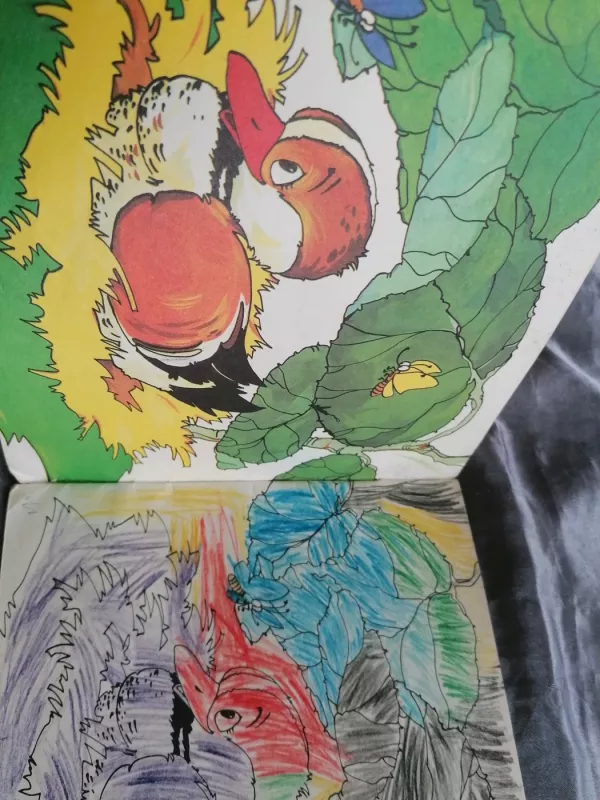 Bjaurusis anciukas - Edita Žumbakytė, knyga 5