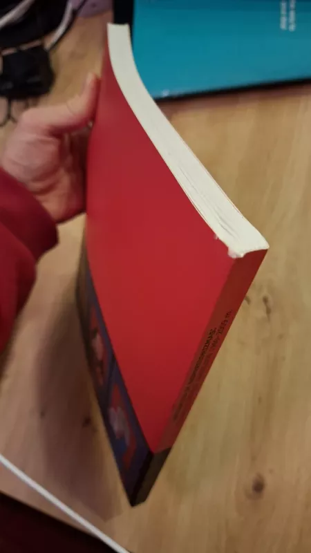 Abstrakcija ir ekspresionizmas – dvi Vilniaus tapybos tradicijos: 1960 – 2009 m. Katalogas - Jurėnaitė Raminta (sudarytoja), knyga 4