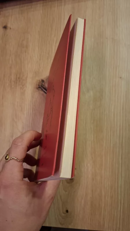 Mirtingumo įrodymai - Marius Povilas Elijas Martynenko, knyga 4