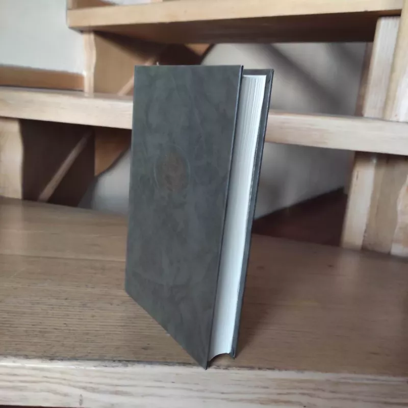 Raudona ir juoda - Stendalis, knyga 6