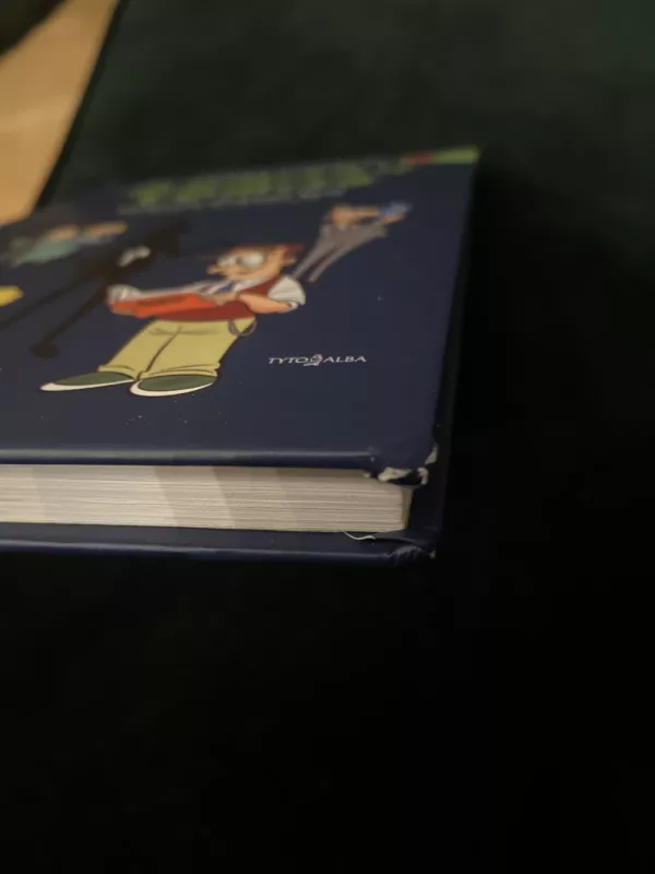 Domas ir Tomas (14 knyga). Dingusio Dirgėlos byla - Tomas Dirgėla, knyga 3