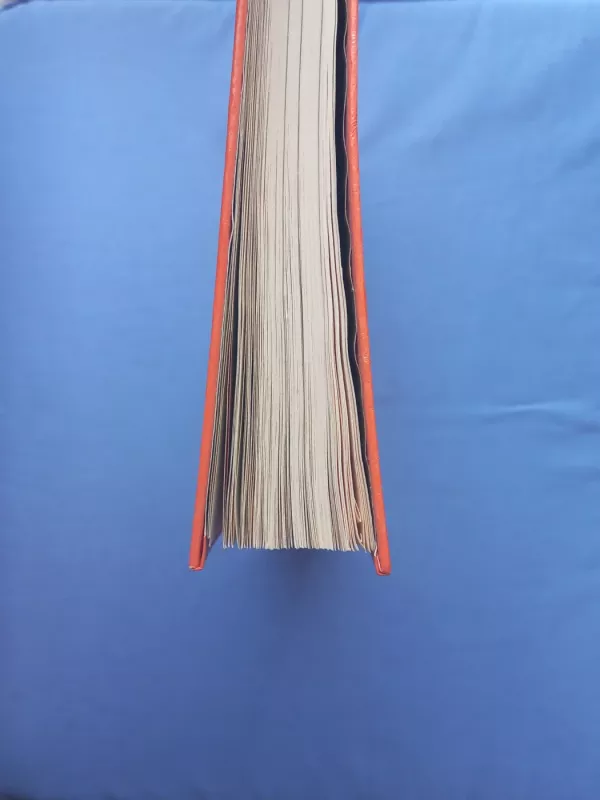 Jauna šeima. Mažylis - Antanas Mockus, knyga 4