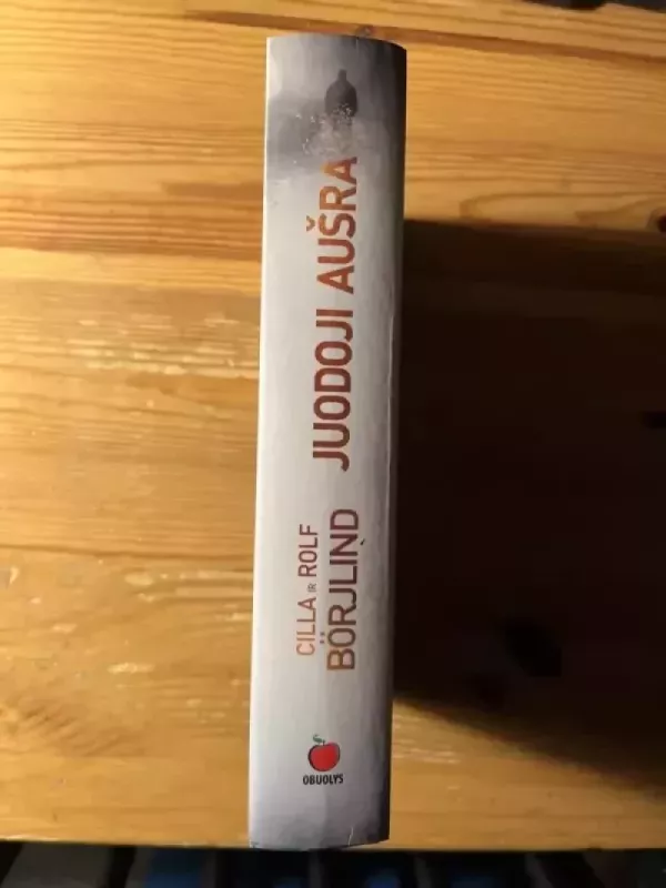 Juodoji aušra - Cilla ir Rolf Borjlind, knyga 3