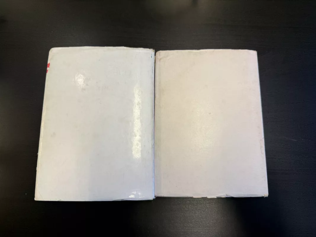 Nemuno sūnas - Andrius Valuckas, knyga 3