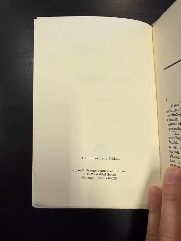 Greitkelis - Vytautas Volertas, knyga 4