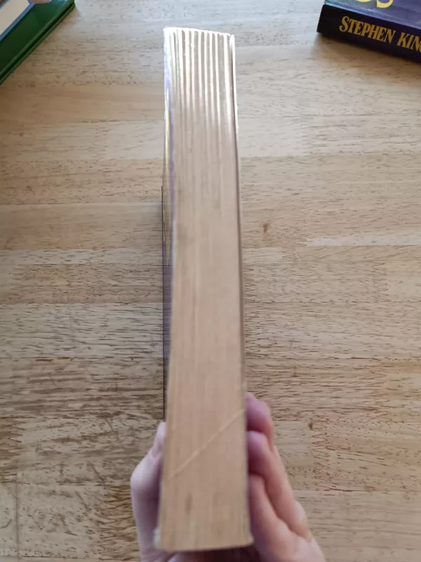 Nemiga (pirma knyga) - Stephen King, knyga 5