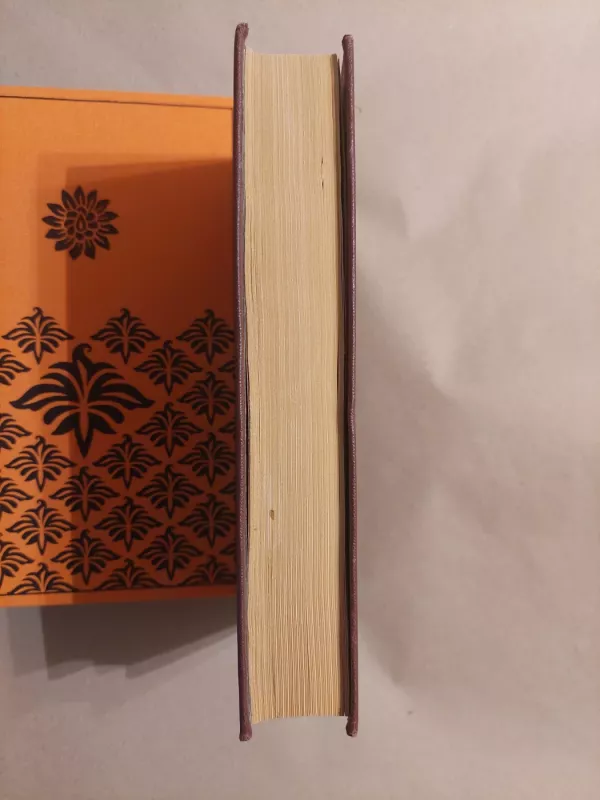 Vydūnas Raštai I tomas -   Vydūnas, knyga 5