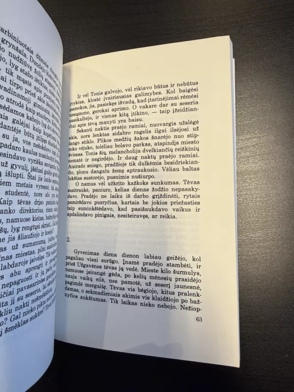 Greitkelis - Vytautas Volertas, knyga 6