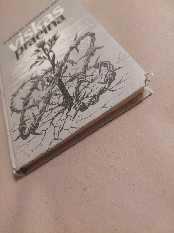 Viskas praeina - Antanas Dambrauskas, knyga 3