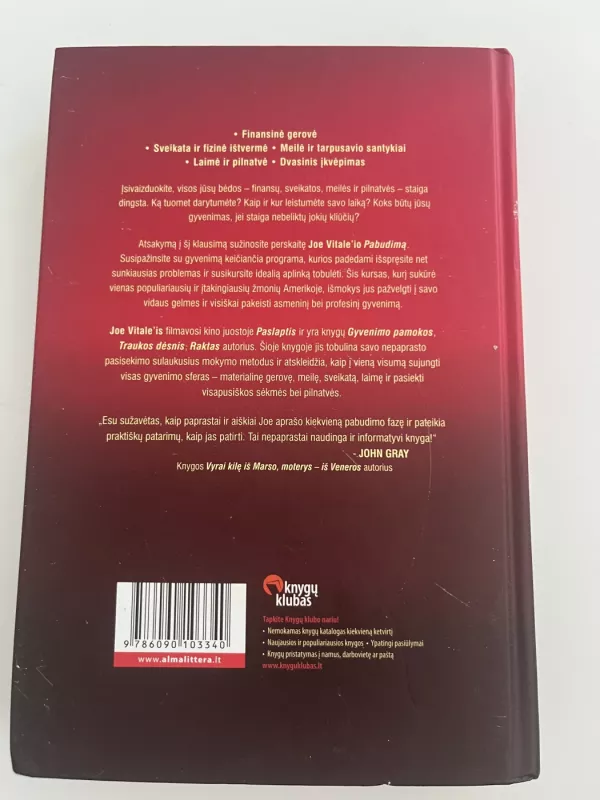 Pabudimas. Visų problemų sprendimo paslaptis - Joe Vitale, knyga 3