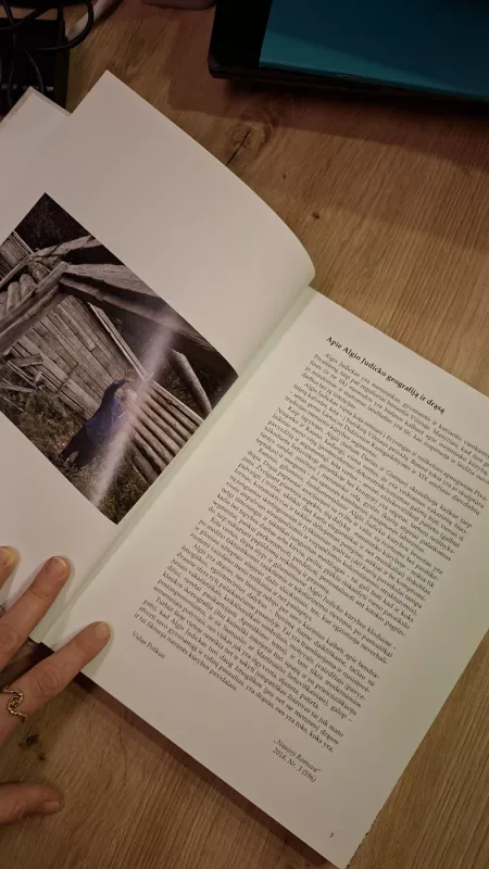 Algirdas Judickas tapybos albumas - Algirdas Judickas, knyga 6