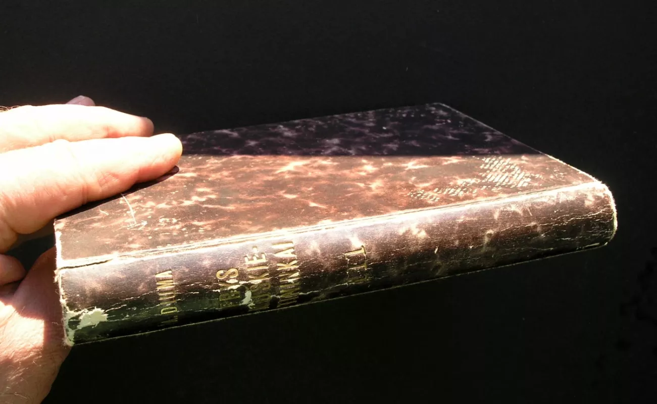 Trys muškietininkai. III tomas. 1940 - Aleksandras Diuma, knyga 6