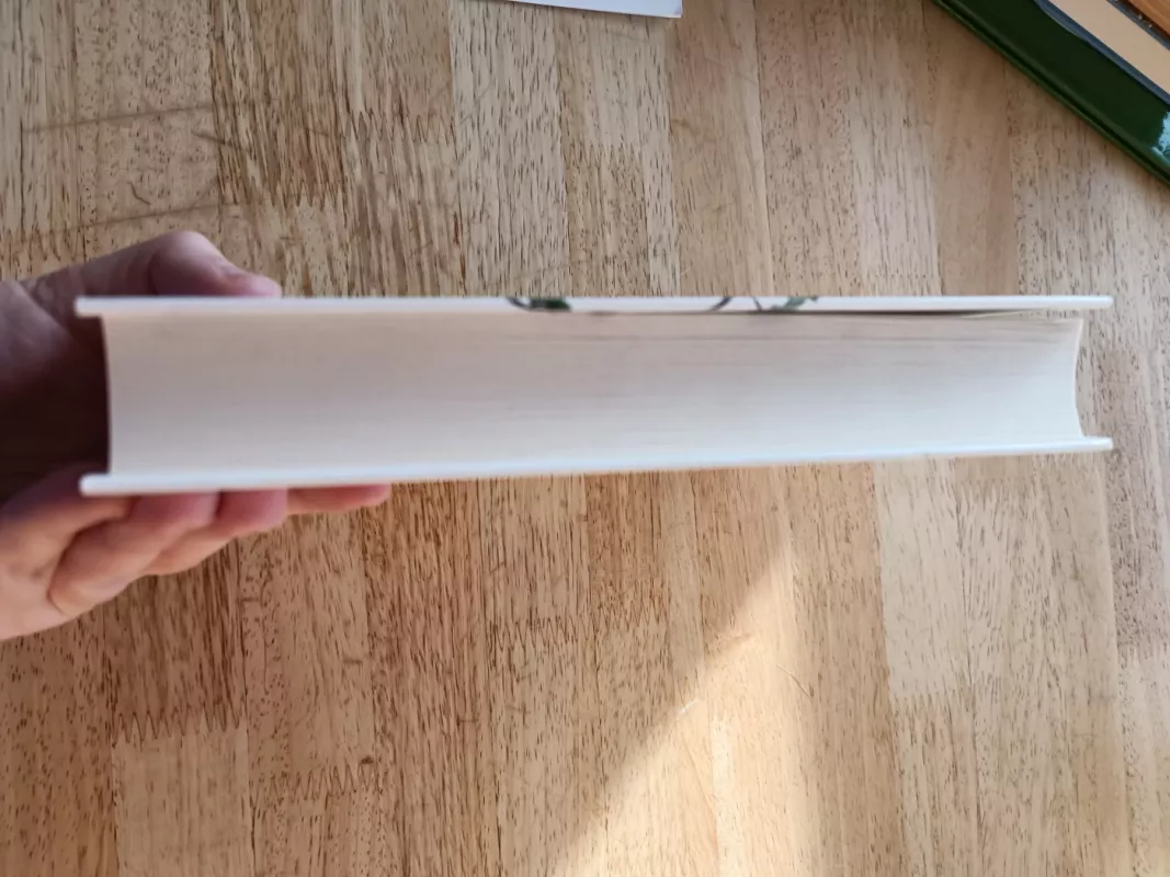 Linkolnas bardo - George Saunders, knyga 5