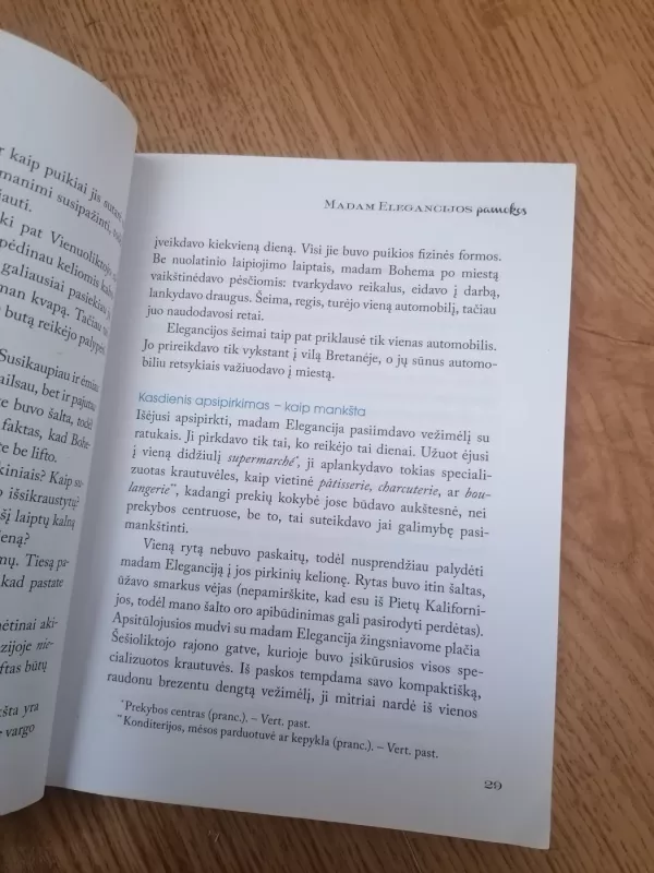 Madam elegancijos pamokos - Jennifer L. Scott, knyga 3