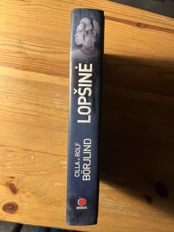 Lopšinė - Cilla ir Rolf Borjlind, knyga 4