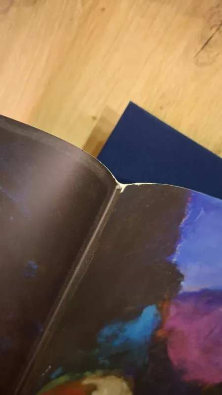 Jonas Čeponis: spalvingas žvilgsnis į pasaulį - Jonas čeponis, knyga 5