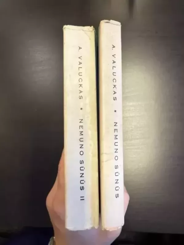 Nemuno sūnas - Andrius Valuckas, knyga 5