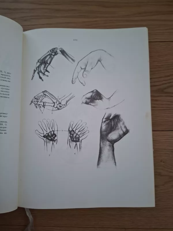 Anatomie dle hudožnikov (rusų k.) - E.Arčai , knyga 3