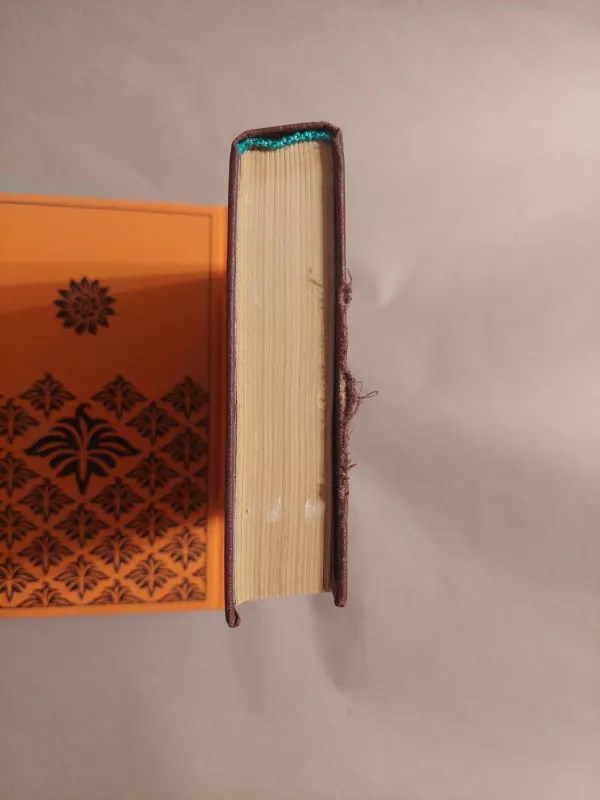 Vydūnas Raštai I tomas -   Vydūnas, knyga 6