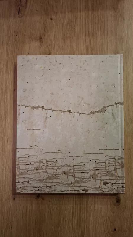 Algirdas Judickas tapybos albumas - Algirdas Judickas, knyga 4