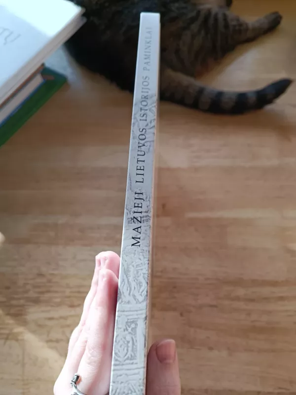 Mažieji Lietuvos istorijos paminklai - Autorių Kolektyvas, knyga 3