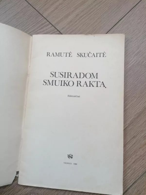 Susiradom smuiko raktą - Ramutė Skučaitė, knyga 3