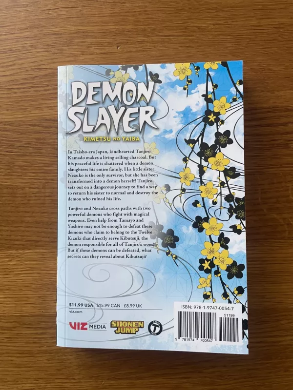 Demon Slayer Kimetsu no Yaiba - koyoharu gotouge, knyga 3