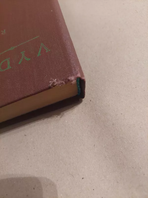 Vydūnas Raštai I tomas -   Vydūnas, knyga 4